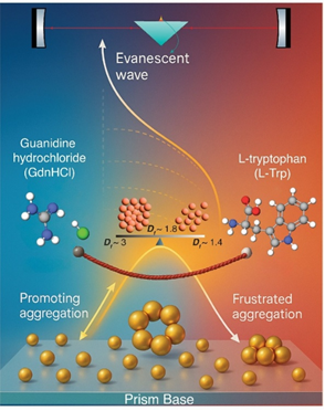 GdnHCl-induced aggregation